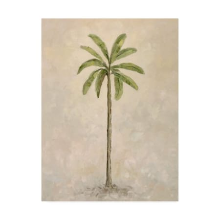 Debra Lake 'Palm Tree 2' Canvas Art,24x32